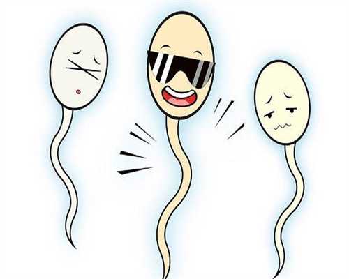 沈阳借卵生女儿,沈阳解放军202医院试管生男孩费用多少
						