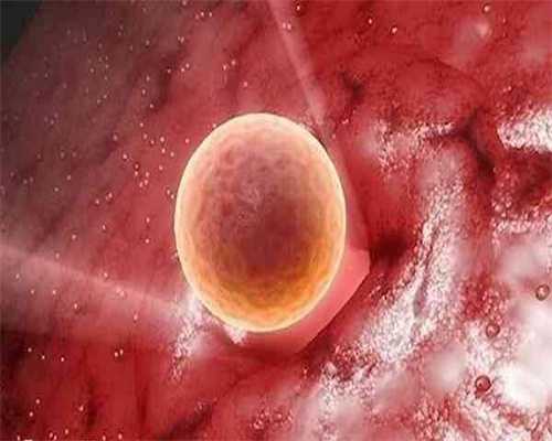 河北医院可以供卵石龙生殖中心好吗国内代怀花费