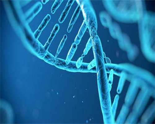 沈阳找人代生价格医院可以代怀沈阳正规供卵网站