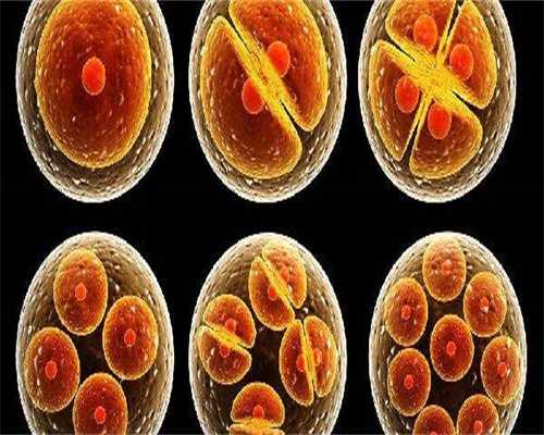 试管代生群-验血怀孕了b超看不到孕囊