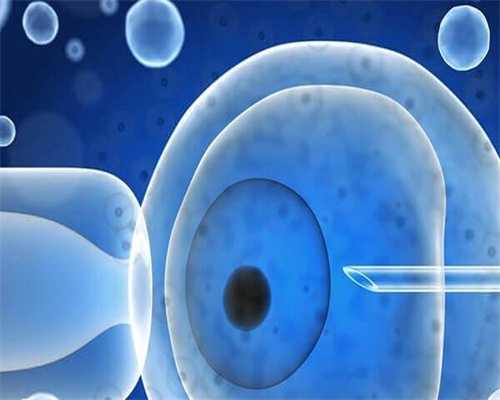 沈阳供卵试管哪里有（不孕不育去沈阳哪里）