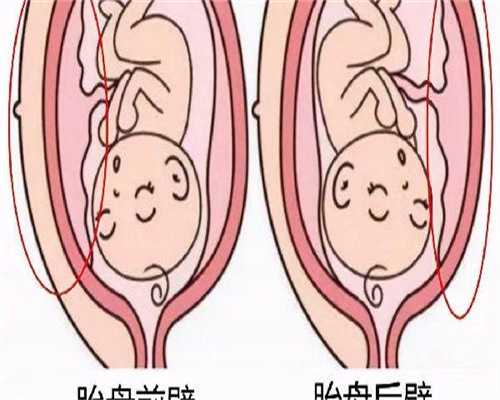 代生孩子地址去锦州还是沈阳供卵医生