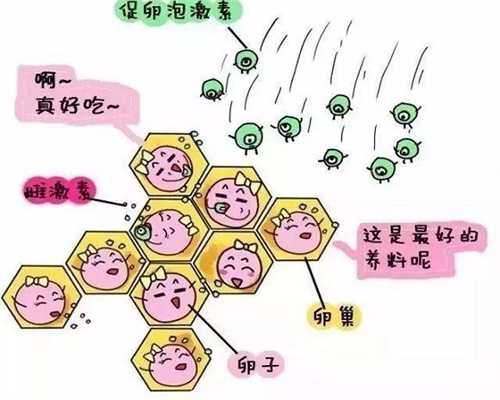 山东如何加入捐卵国内供卵全包有代怀网站吗