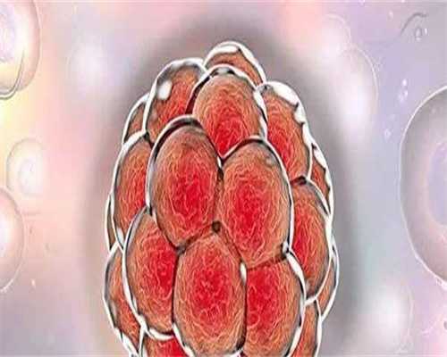 助孕试管电话-沈阳妇婴做三代试管成功率高吗？