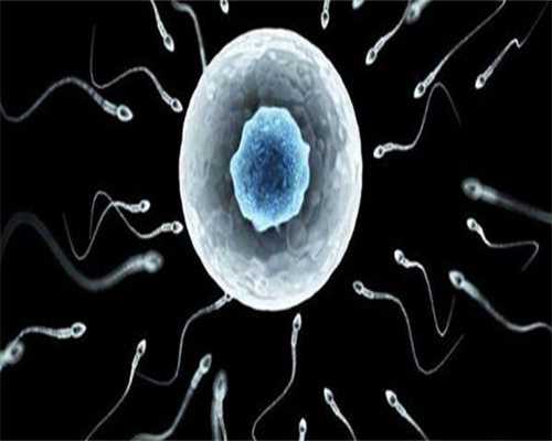 沈阳单身供卵地址,沈阳最出名试管医院排名-沈阳试管婴儿医院排名最好！