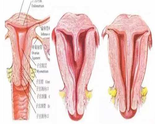 沈阳哪里可以做试管婴儿