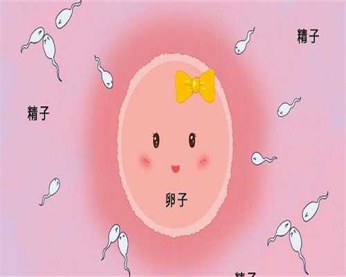 试管移植后如何保胎？