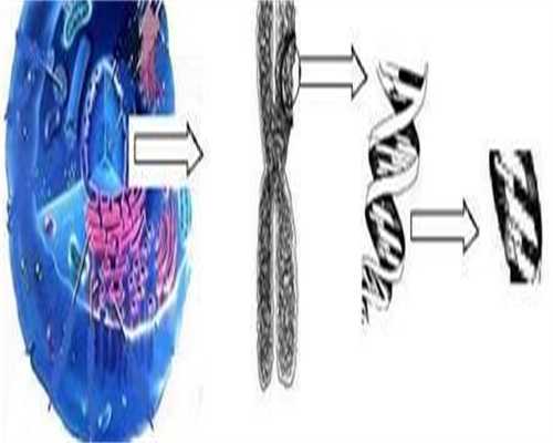 沈阳代生宝宝地址哪家医院好沈阳助孕去哪里