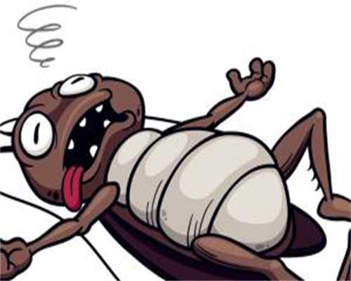 辽宁试管婴儿技术怎么样