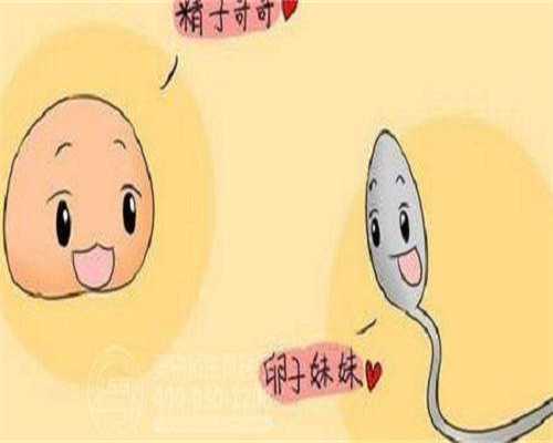 沈阳代怀孕价合法供卵代生沈阳助孕公司安全