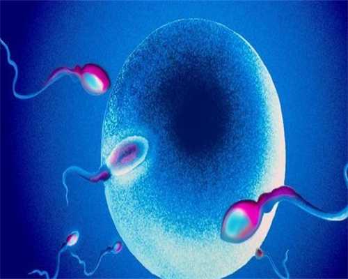 沈阳有捐卵吗,试管包男孩微信群号,沈阳试管私立医院价格能试管选的了孩子吗