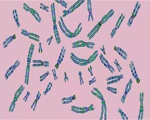 做三代试管在沈阳哪里做比较好？