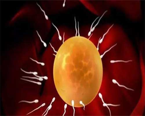 沈阳民间供卵机构,沈阳菁华申请供精能不能选照片？