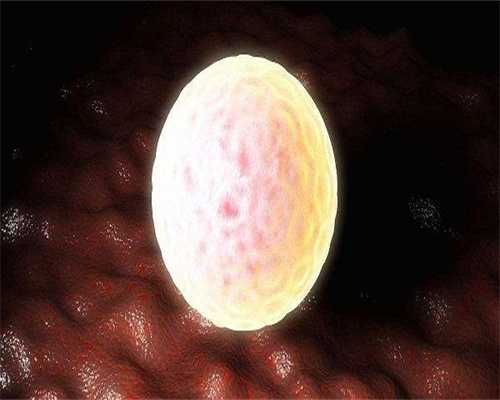 沈阳有供卵的地方,2026沈阳试管婴儿医院十大排名，费用会贵吗？